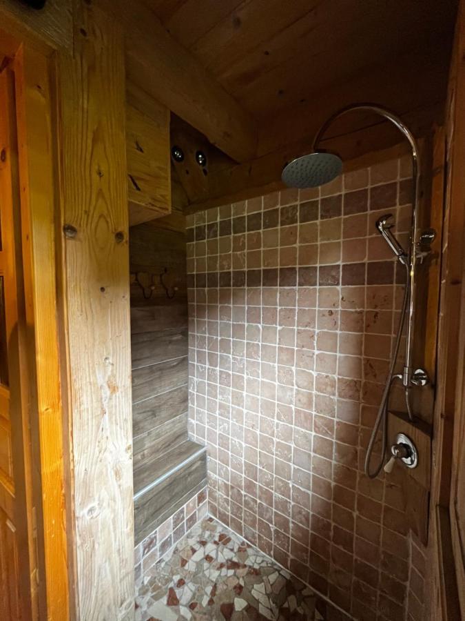 Chalet Le Pre De La Dame Epagny Metz-Tessy Exterior foto