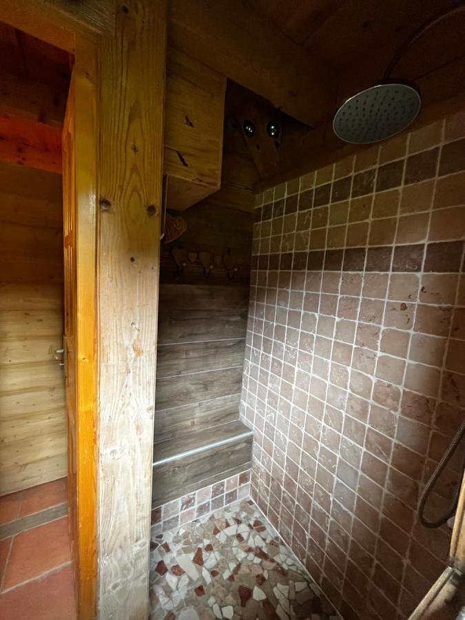 Chalet Le Pre De La Dame Epagny Metz-Tessy Exterior foto